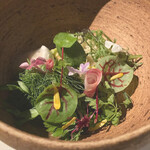 ライラ - ガスパチョ