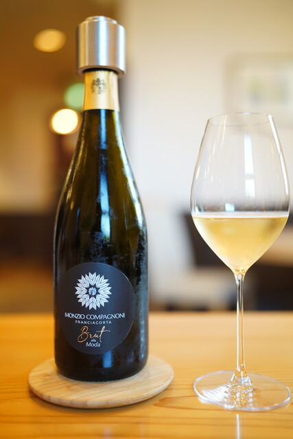 affetto akita photo 5