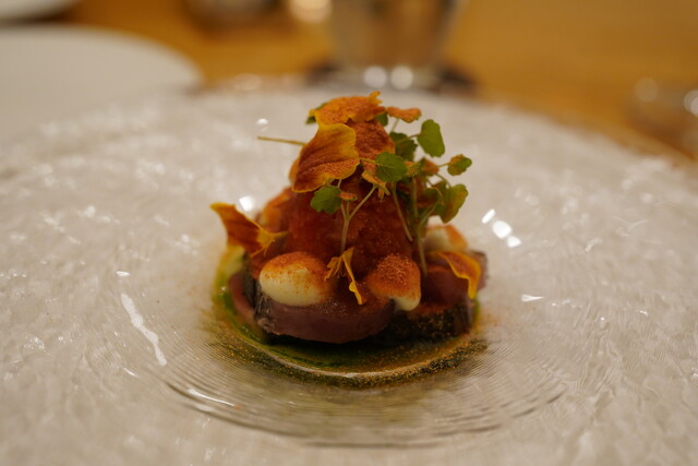 affetto akita photo 2