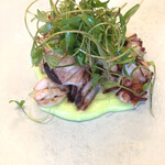 ラルジャン - 蛸