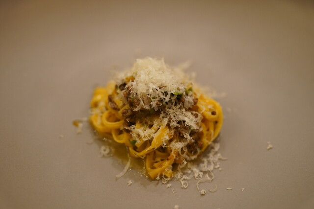 affetto akita photo 4