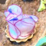 CYCLE by Mauro Colagreco - アミューズ