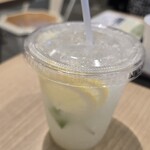 카루이자와 플랏 브레즈 - 