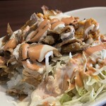 サライ ケバブ - 2025.07.15 (火)  ライスケバブ（ミックス）　800円（税込）