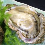 Sakanaya Shumpei - 牡蠣
