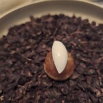 Installation Table ENSO L'asymetrie du calme - 