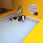 ゲロ ゲロ バター スタンド - 