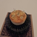 Installation Table ENSO L'asymetrie du calme - 