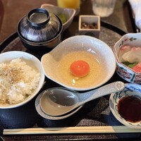 東山望 TAMANOHIKARI - 