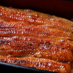 魚政 - 料理写真:特上うな重　備長炭で焼き上げた厳選のうなぎをご堪能ください。