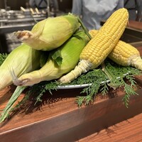 スガラボヴィー - 