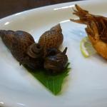 えん - バイ貝の八角煮・・美味しいい！