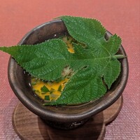 五本木 響 - 