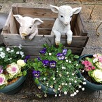 アルティジャーナ ロッソ - 店外