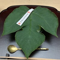 徳ㇵ本也 - 