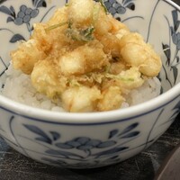 天ぷら わかやま - 