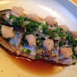 ハナビ - 新秋刀魚の焼霜造り