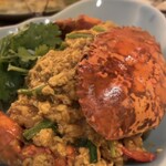 チェディルアン ハービスENT - 