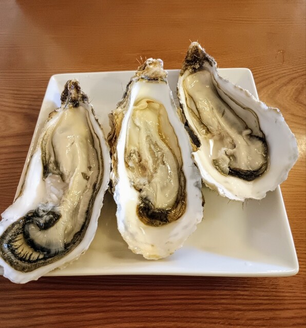 小樽茶屋 里 - 小樽（海鮮丼）の写真