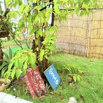 沖縄そば 崎濱製麺 - 