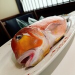 KOBAYASHI - 【赤甘鯛】