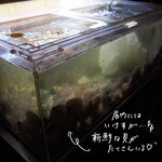 海鮮濱燒酒場 Yaichattei - 