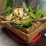 たま菜 - 
