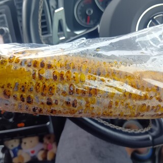 小林君八百屋_0