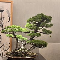 紀尾井町 三谷 - 