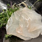 芝KOSO - 