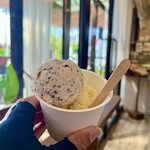 Hilo Homemade Ice Cream - 