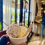 Hilo Homemade Ice Cream - 
