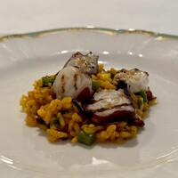 ソラメントゥーノ - タコとインゲンのリゾット サフラン風味