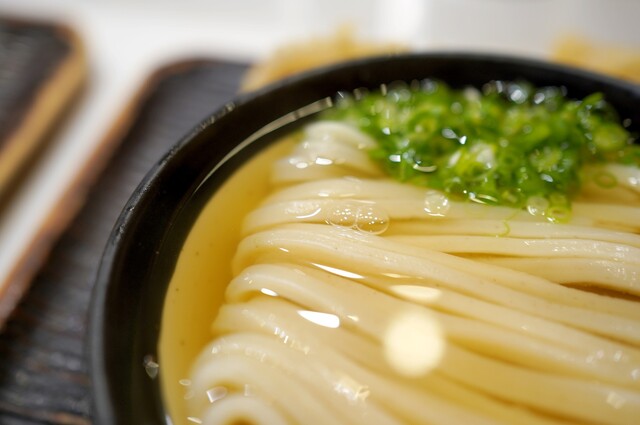 Udon Maruka photo 2