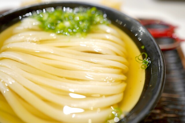 Udon Maruka photo 3