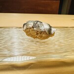 髙橋 謙太郎 - シンコ(コハダの子供)