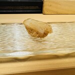 髙橋 謙太郎 - アオリイカ