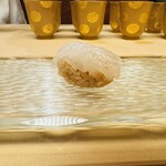 髙橋 謙太郎 - 白エビ