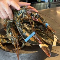 PLEIN 銀座本店 - 