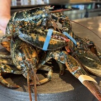 PLEIN 銀座本店 - 