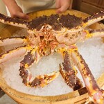 かにじぇんぬ 北のはなれ - 北海道根室産
      2.６キロの活けたらば蟹