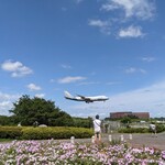 うなぎ新川 - 近所のさくらの山公園