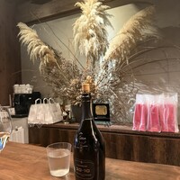 神楽坂アッカ - 