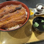 うな勢 - 将軍丼全景