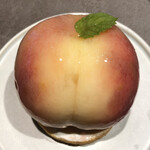 MYSTAR BASE - ミスピーチ真上から