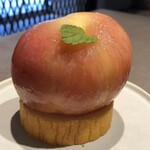 MYSTAR BASE - ミスピーチ反対から