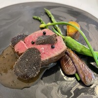 アルテリーベ - 