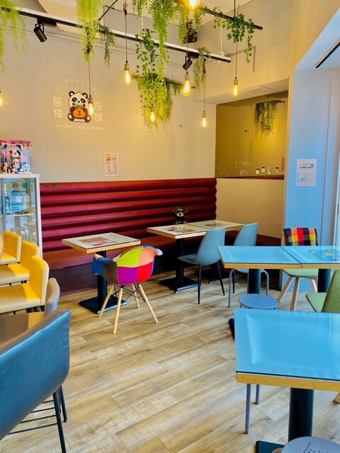 Pan Dachanpion photo 4