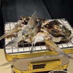 寿司と干物 井 - 