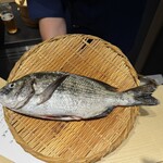 寿司と干物 井 - 